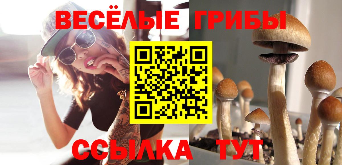 Ахтубинск  Галлюциногенные грибы Psilocybe  Вход с VPN 